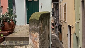 A narrow alleyway with a stone staircase leading to a green door.