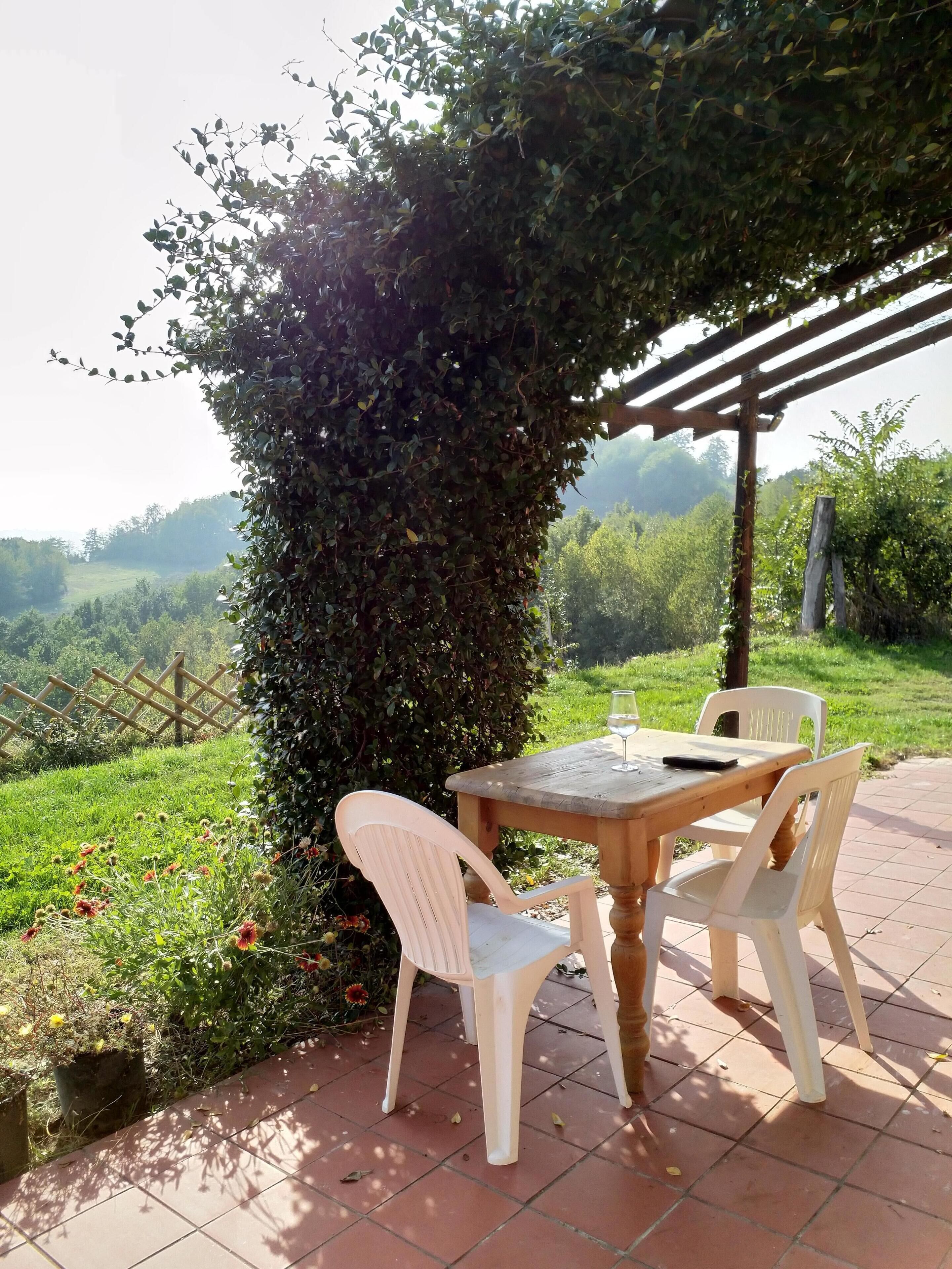 Hillside Villa with Fantastic Countryside Views Nizza Monferrato Region