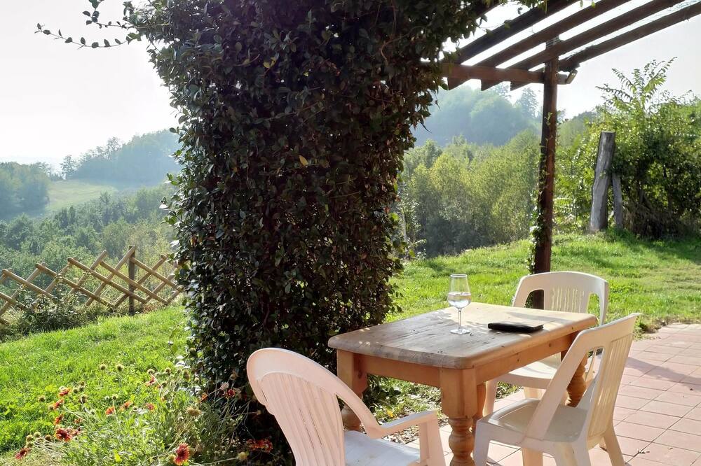Hillside Villa with Fantastic Countryside Views Nizza Monferrato Region