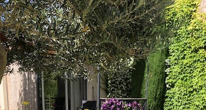 GITE "NEAR JASMIN" with POOL and GARDEN near Vaison La Romaine