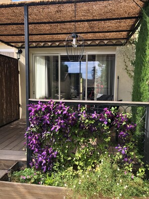 Detalle del exterior