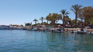 A marina with various boats docked, palm trees, and a clear blue sky. - Fuzeta beach apartment 1 - Free Wifi (Olhao)