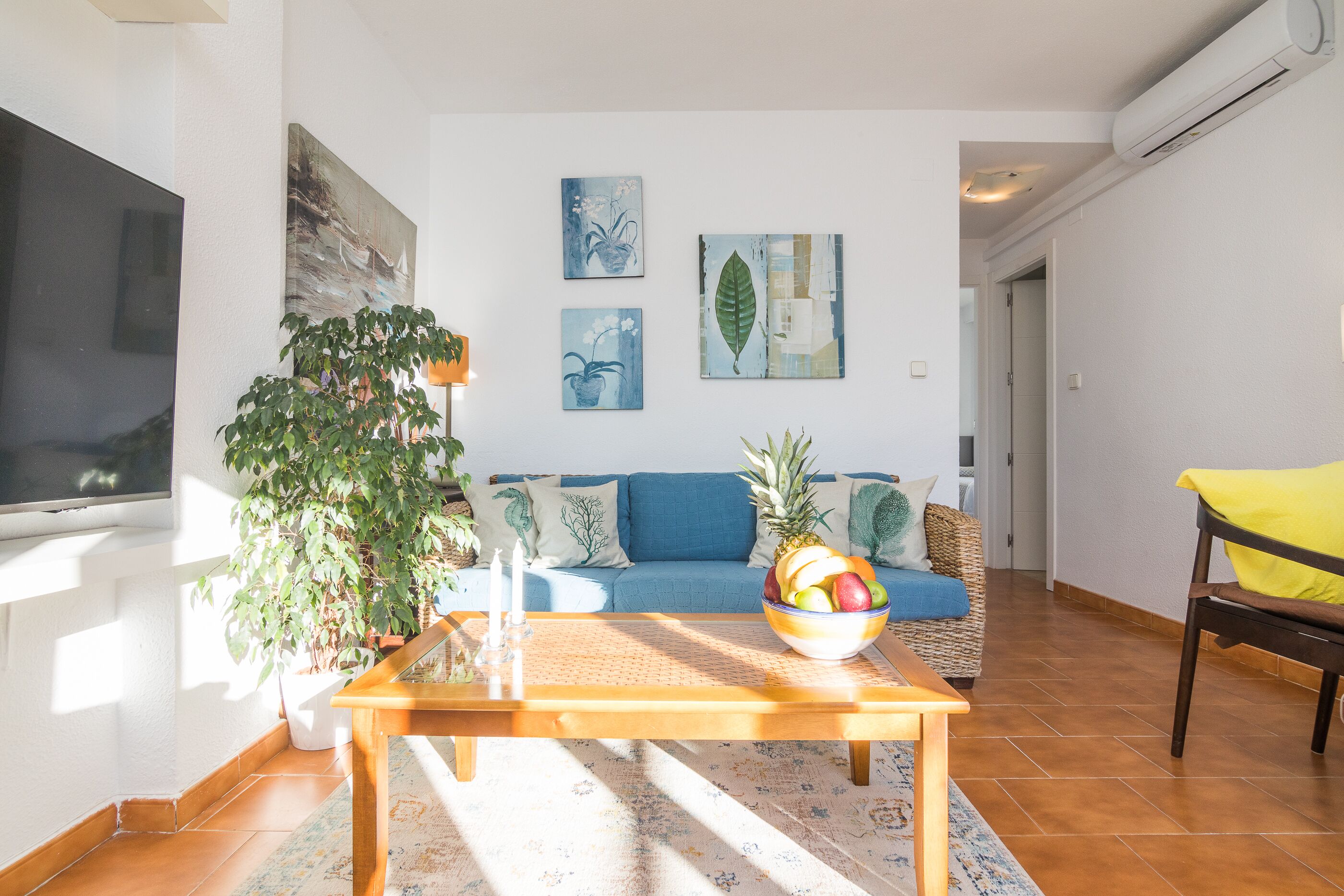 Smart TV, reproductor de DVD, libros, videoteca