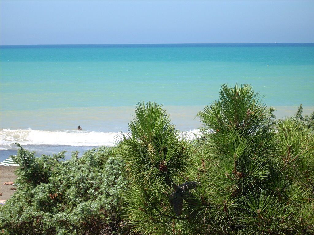 Playa en los alrededores 