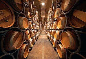 A long corridor lined with wooden barrels, likely used for aging wine, with a central aisle and overhead lighting.