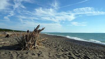 Playa en los alrededores