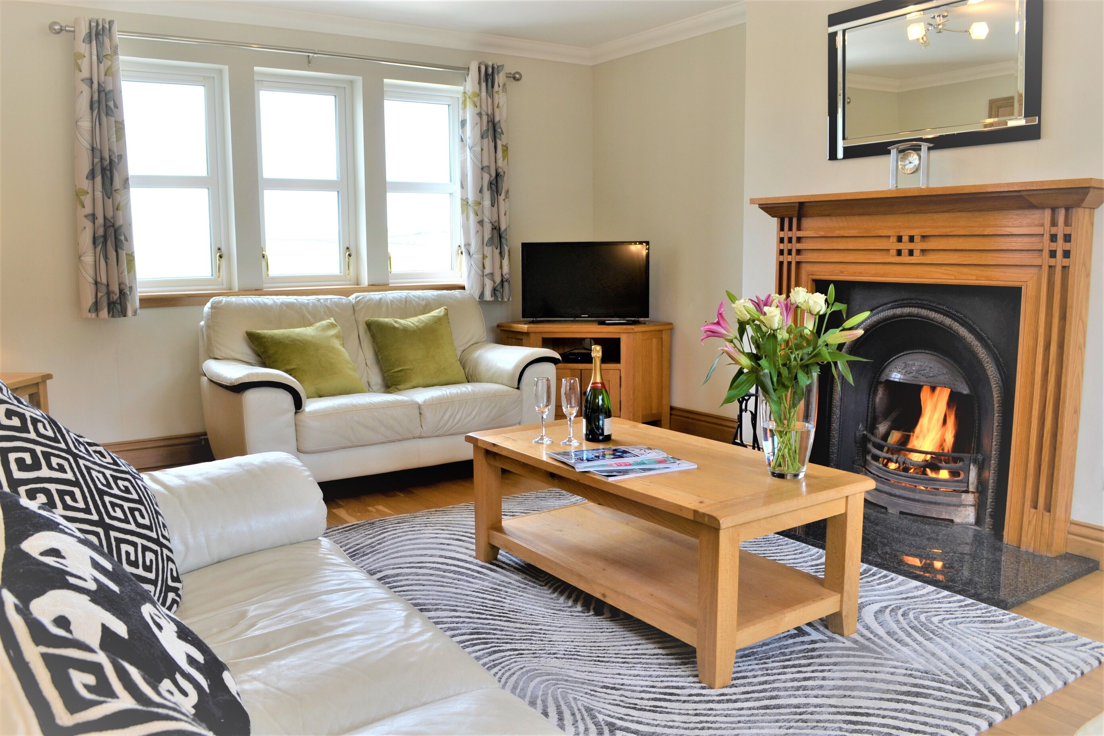 TV connectée, cheminée, lecteur de DVD