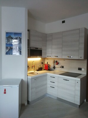 Kühlschrank, Mikrowelle, Herdplatte, Geschirrspüler