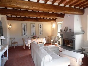 TV, fireplace, DVD player