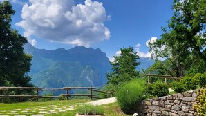 Un jardín con un muro de piedra, una cerca de madera y una planta en maceta.
