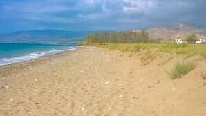 A sandy beach with scattered debris and a clear sky.