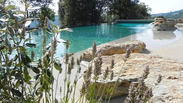 Alberca