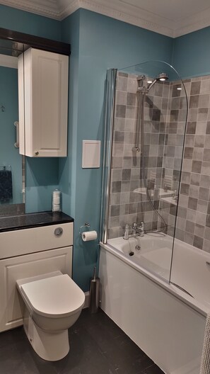 Combined shower/bathtub, hair dryer, towels, soap