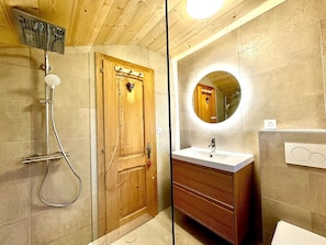 Combined shower/tub, hair dryer, toilet paper