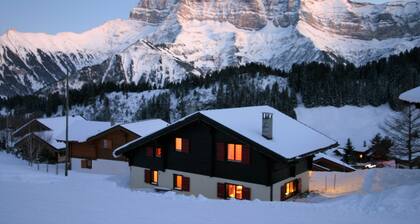 Portes du Soleil Switzerland, ideal ski chalet, ski-in ski-out, 6+2 persons
