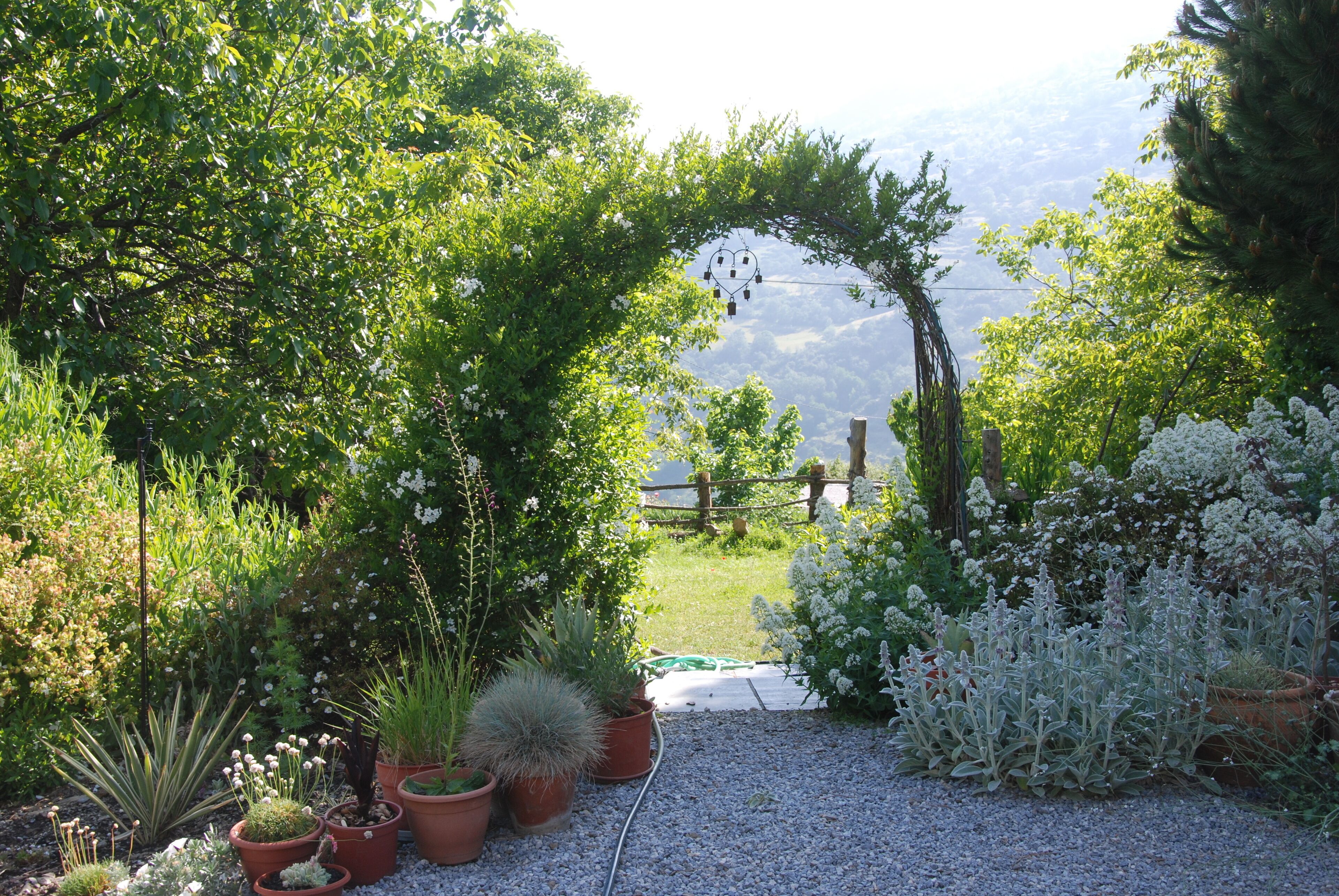 Ein Garten mit verschiedenen Blumentöpfen und einem hölzernen Bogen.