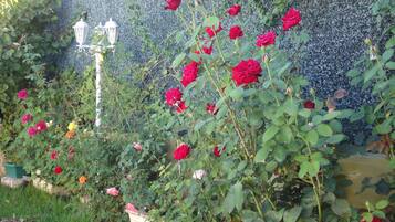 Details aan de buitenkant