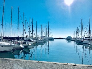 Un port de plaisance où de nombreux voiliers sont amarrés dans des eaux calmes, sous un ciel dégagé.