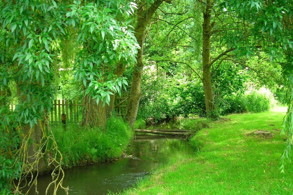 Tranquil riverside cottage in grounds of watermill.