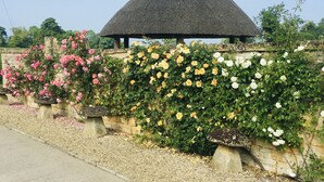 A thatched-roof pavilion surrounded by a variety of flowering plants. - Boddingtons Barn in the Cotswolds  (1 Bedroom) (Gloucestershire)