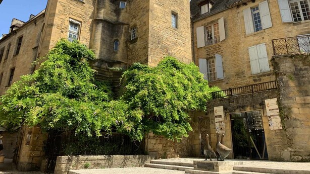 Um edifício histórico de pedra com uma torre, árvores cobertas de hera e uma placa indicando um restaurante.