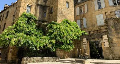 L'APPARTEMENT SECRET avec terrasse exceptionnelle de 30m2 au coeur de Sarlat