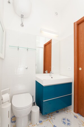 Shower, hair dryer, bidet, towels