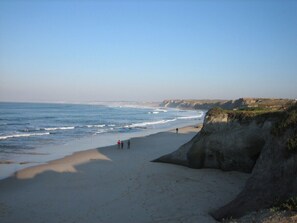 A beach with a rocky cliff and ocean waves.