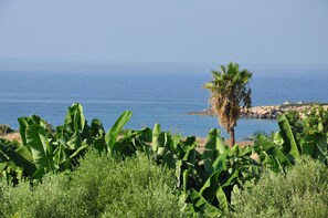 Vlak bij het strand, ligstoelen aan het strand