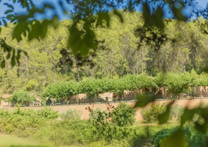 Exterior - Rural house nº10 for 6 people, Batan Rio Tus (Yeste)