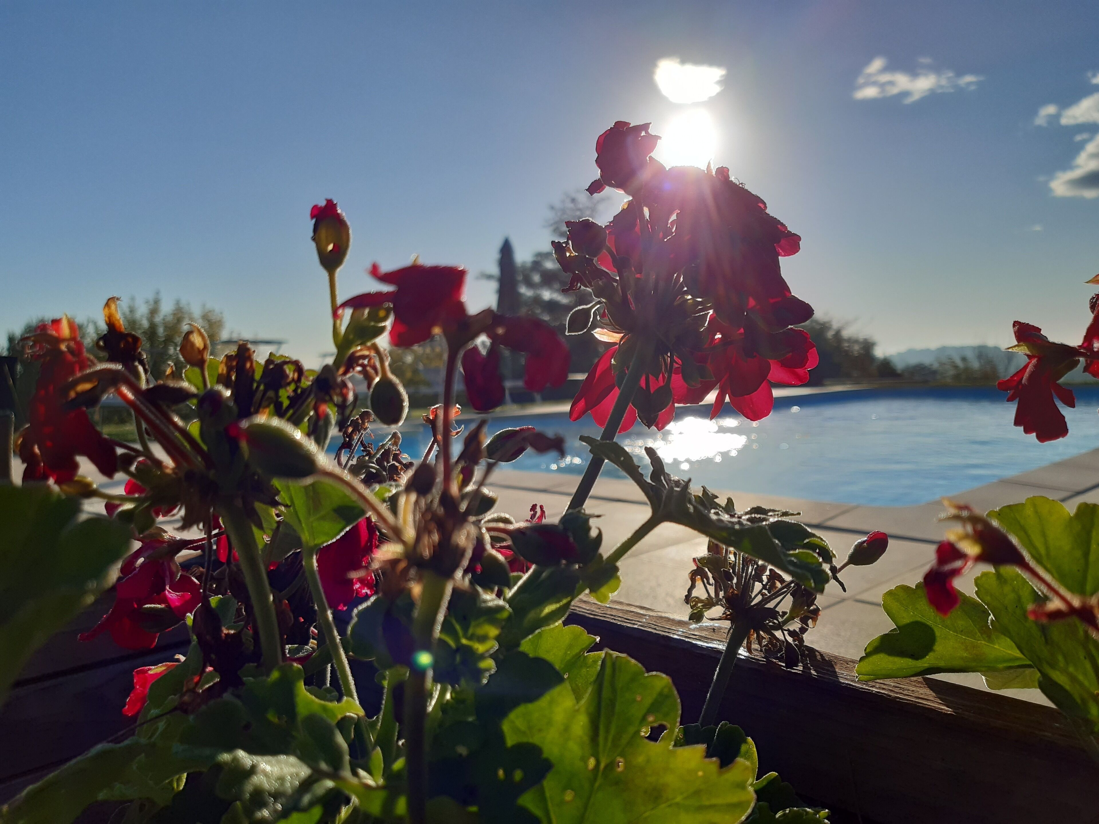 Confinedeisanti B&B Apartment 8 beds