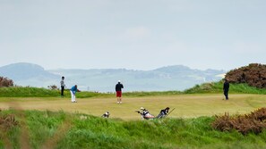 Golf - Stylish fisherman's cottage in heart of pretty harbour village, pet-friendly. (Saint Monans)