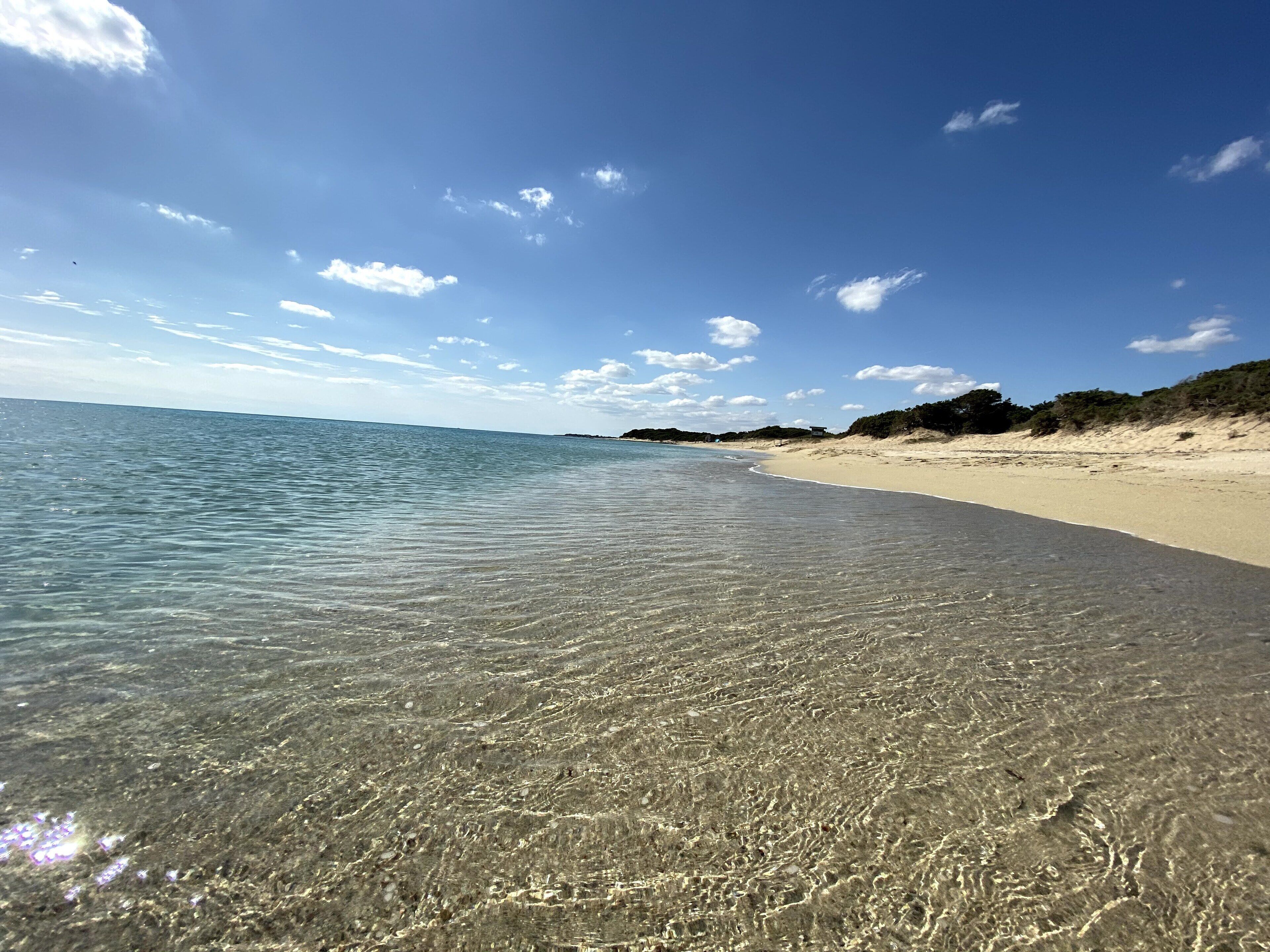 A beach with clear shallow waters, sandy shore, and distant vegetation.