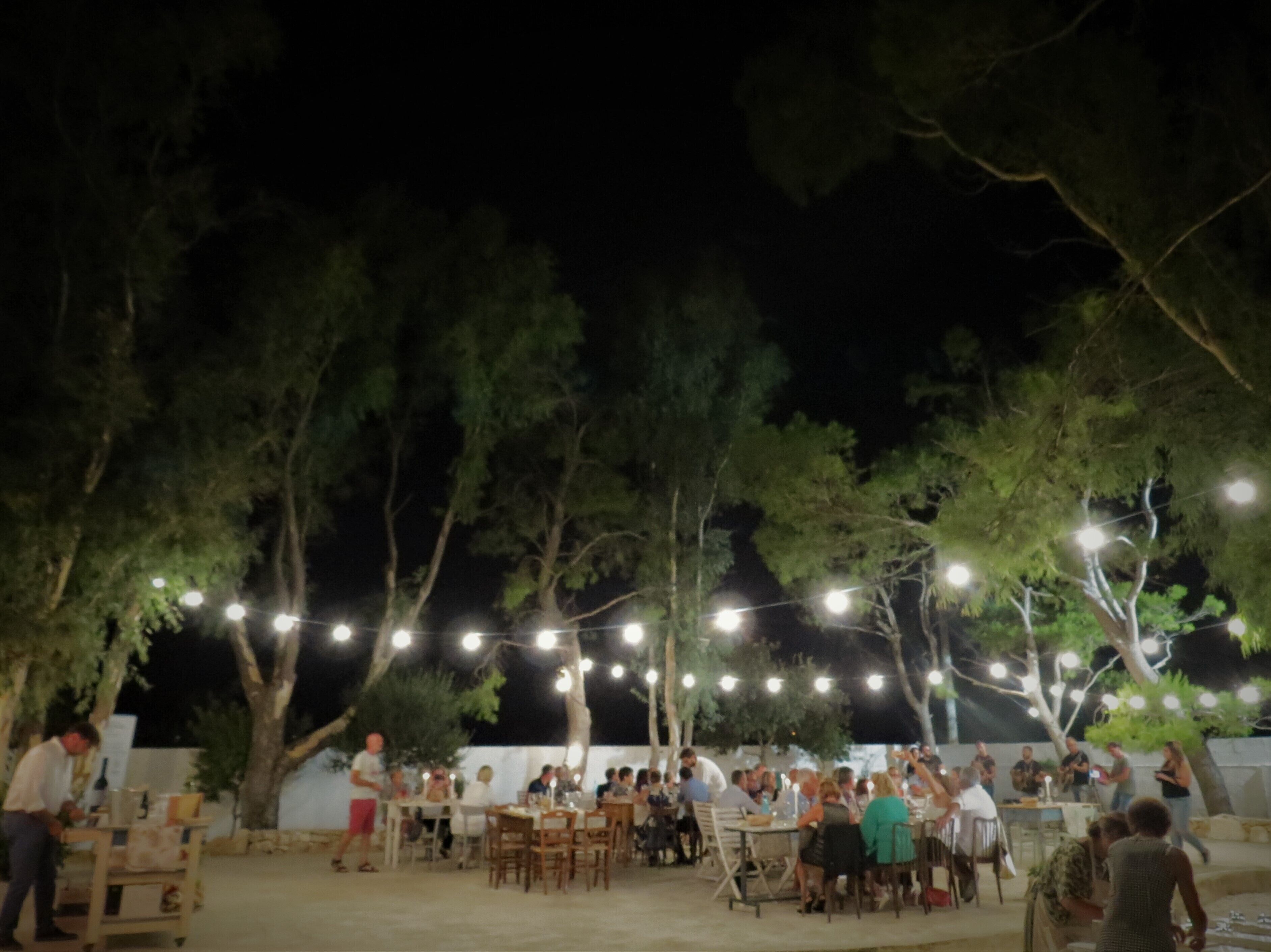 An outdoor dining area with tables and chairs, surrounded by trees and string lights.