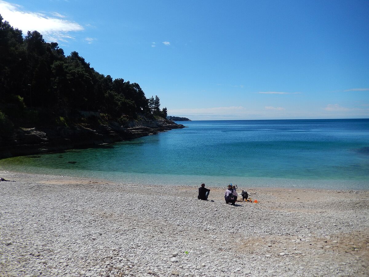 Une plage de galets bordée d’une eau claire et d’une falaise boisée.