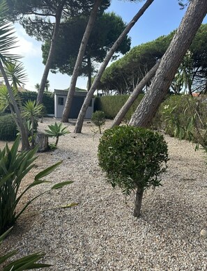 Jardines del alojamiento