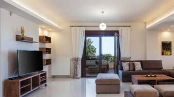 Fladskærms-tv, pejs, dvd-afspiller, bøger