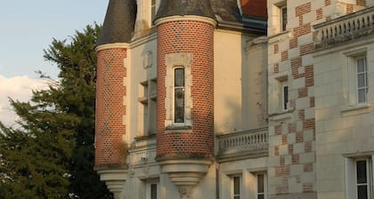 CASTLE for 10 personss with swimming pool in AMBOISE