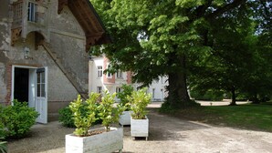 Ein Innenhof mit einem Gebäude, Kübelpflanzen und einem großen Baum.