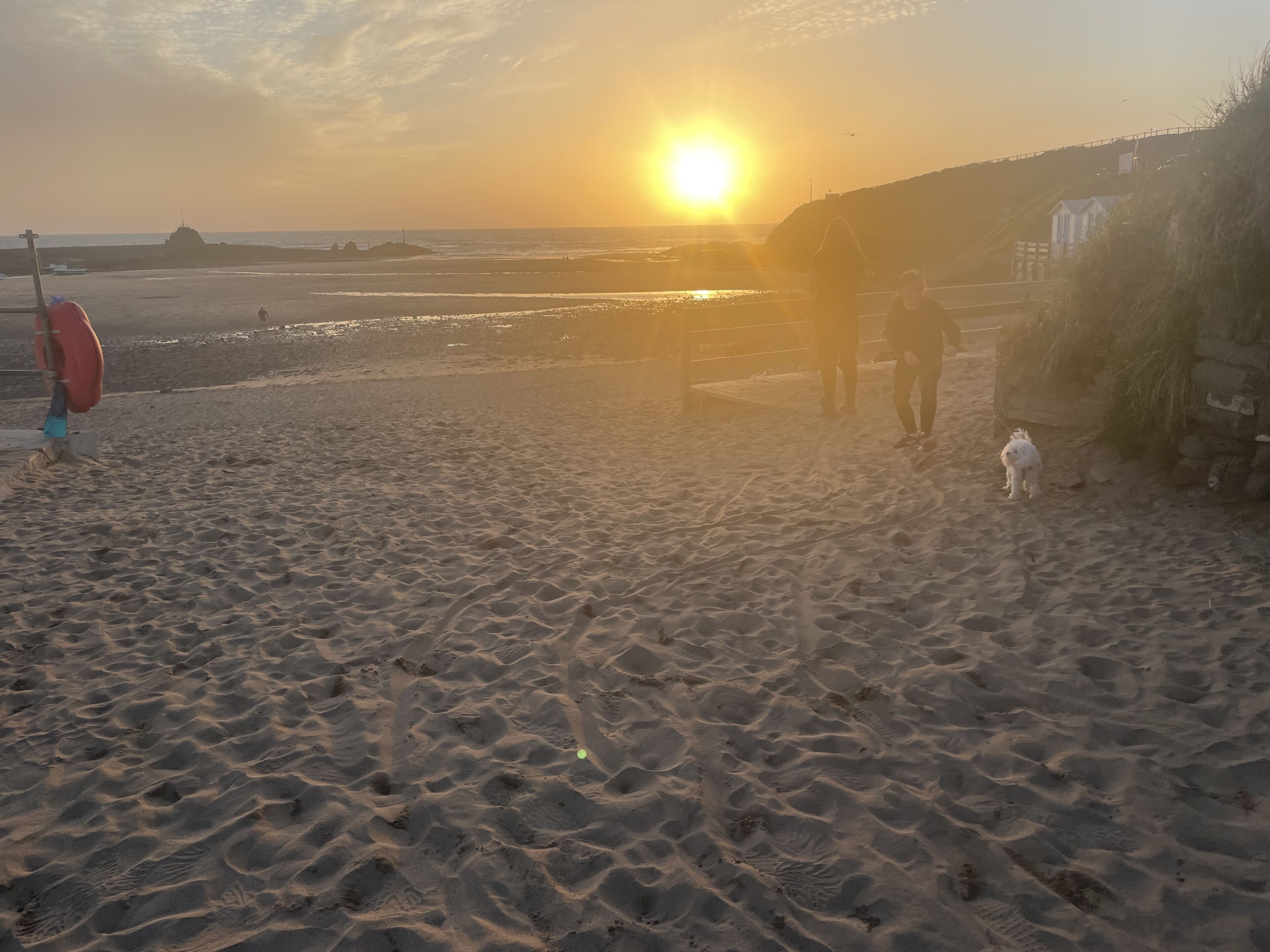 Une plage au coucher du soleil, un poste de surveillance pour les sauveteurs et un petit chien.