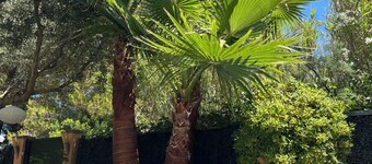 Lovely 3 bdr villa w aircon & wi-fi, private saltwater pool, 400m to beach