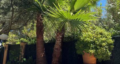 Belle villa de 3 ch avec climatisation et wi-fi, piscine privée d'eau salée, à 400m de la plage