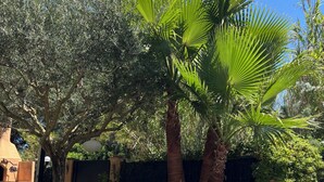 Ein Swimmingpool mit klarem, blauem Wasser, umgeben von Bäumen und einer gefliesten Kante.