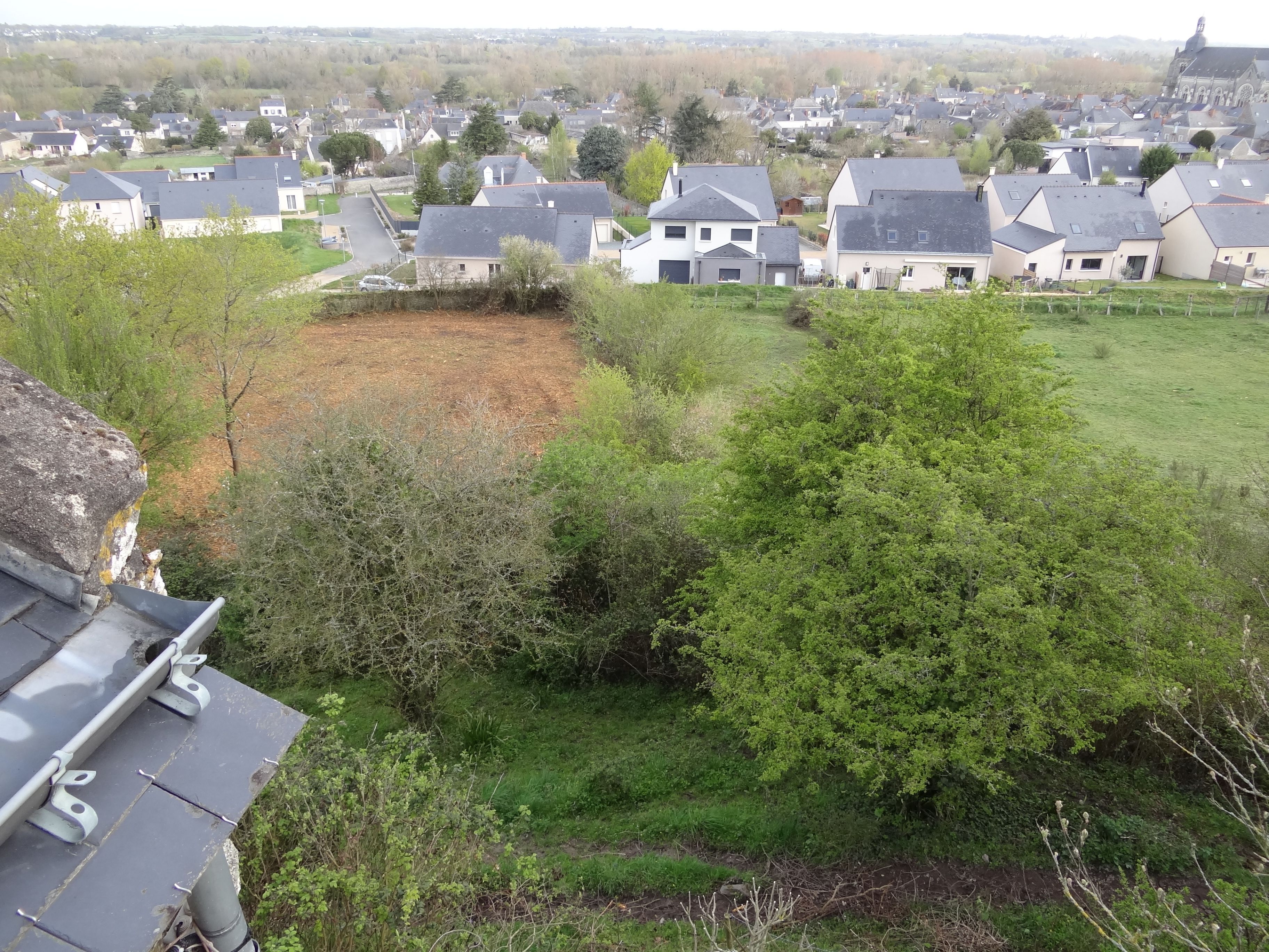 Uma área residencial com casas, um campo gramado e árvores.