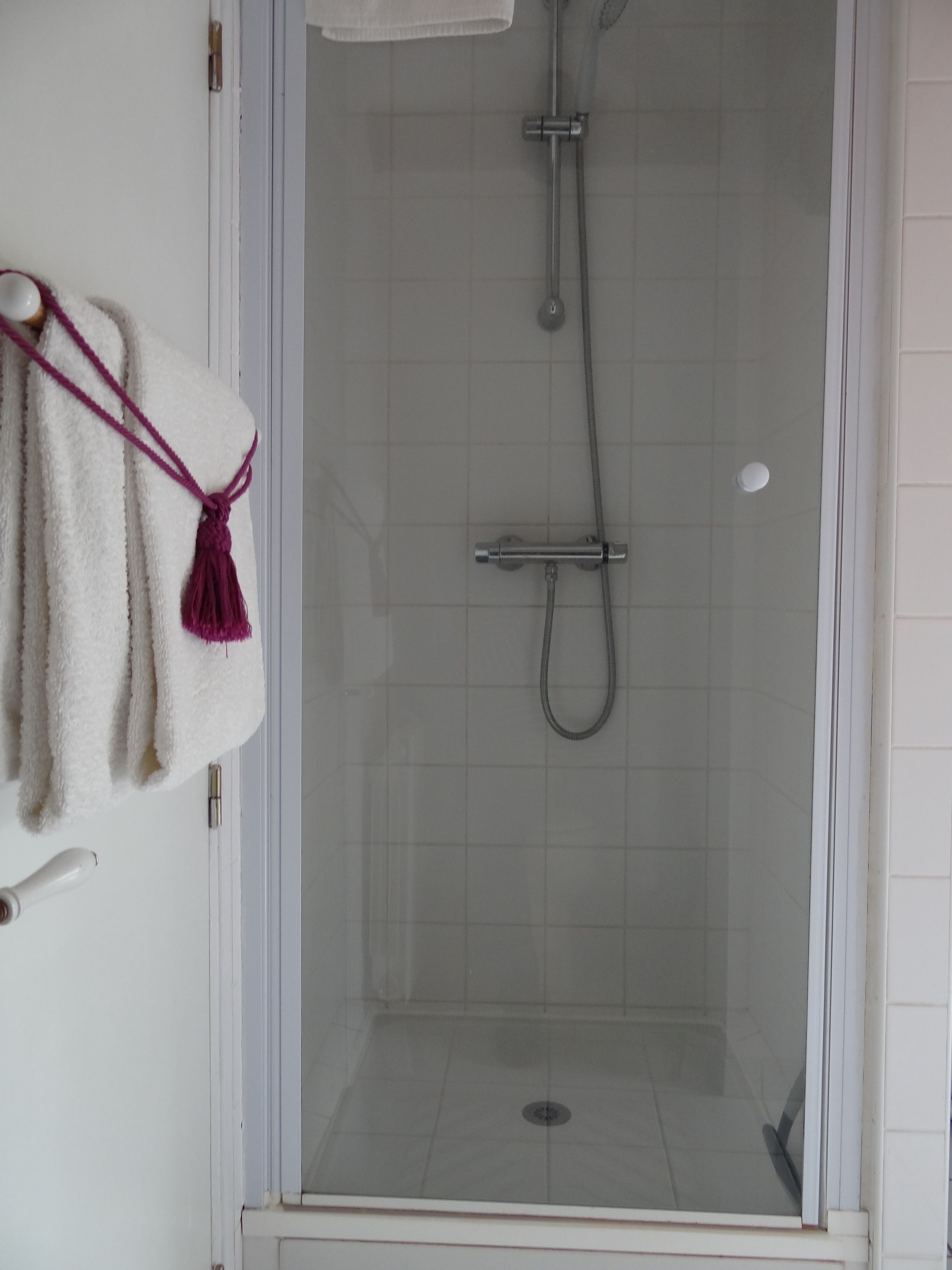 A glass-enclosed shower with a handheld showerhead and a wall-mounted faucet.