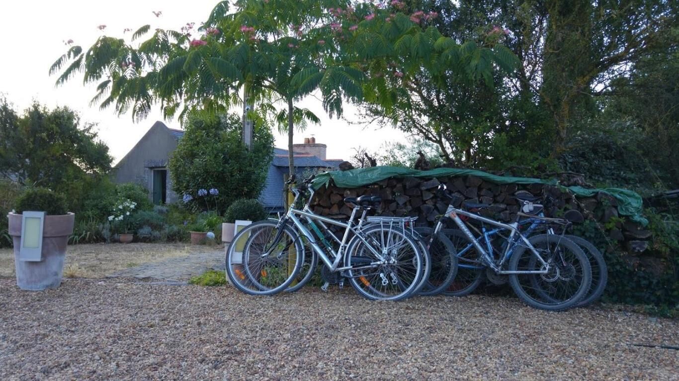A gravel driveway with two bicycles parked against a stone wall, surrounded by greenery and a house with a sloped roof.