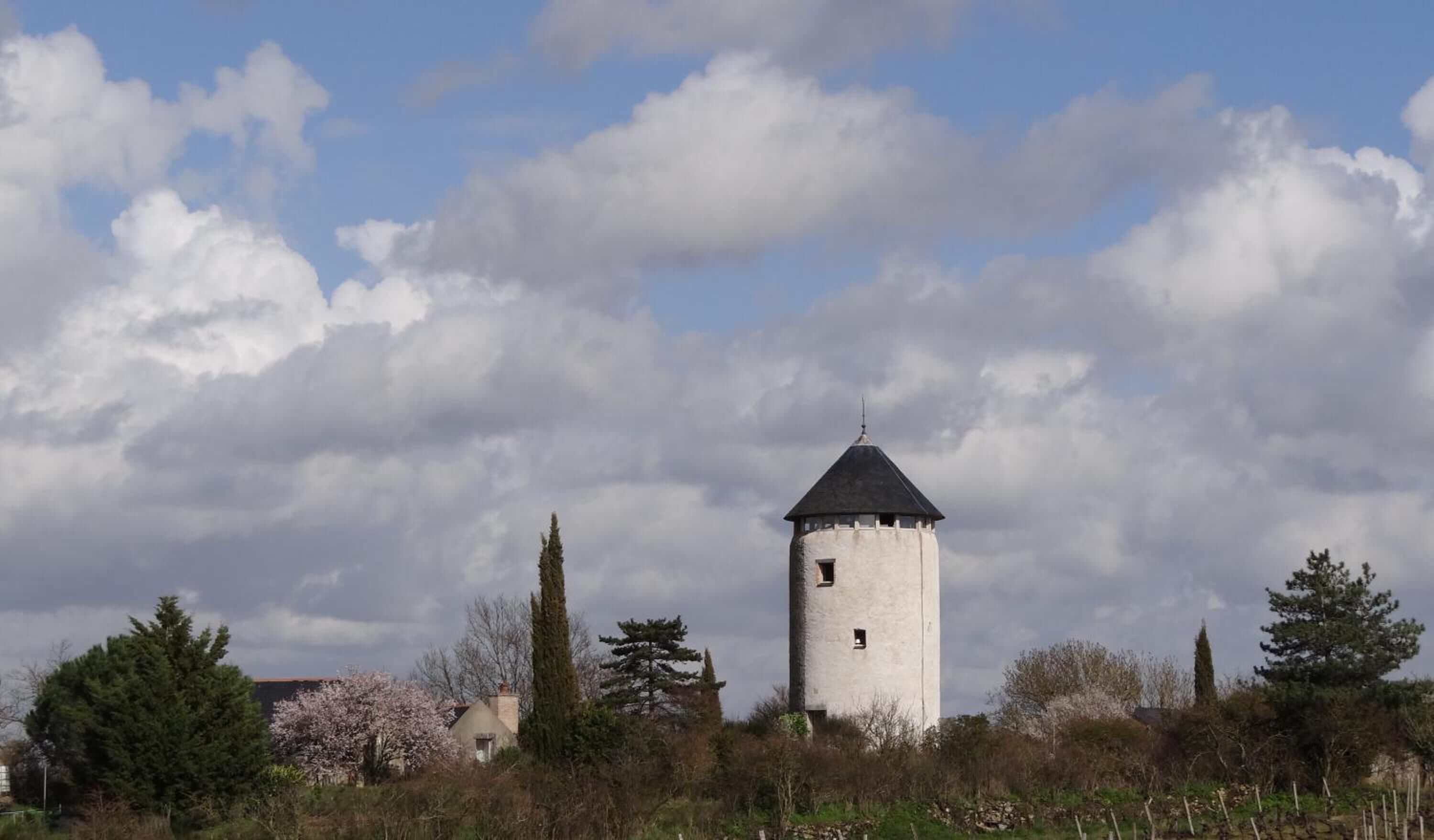 A tower with a conical roof, surrounded by trees and shrubs.