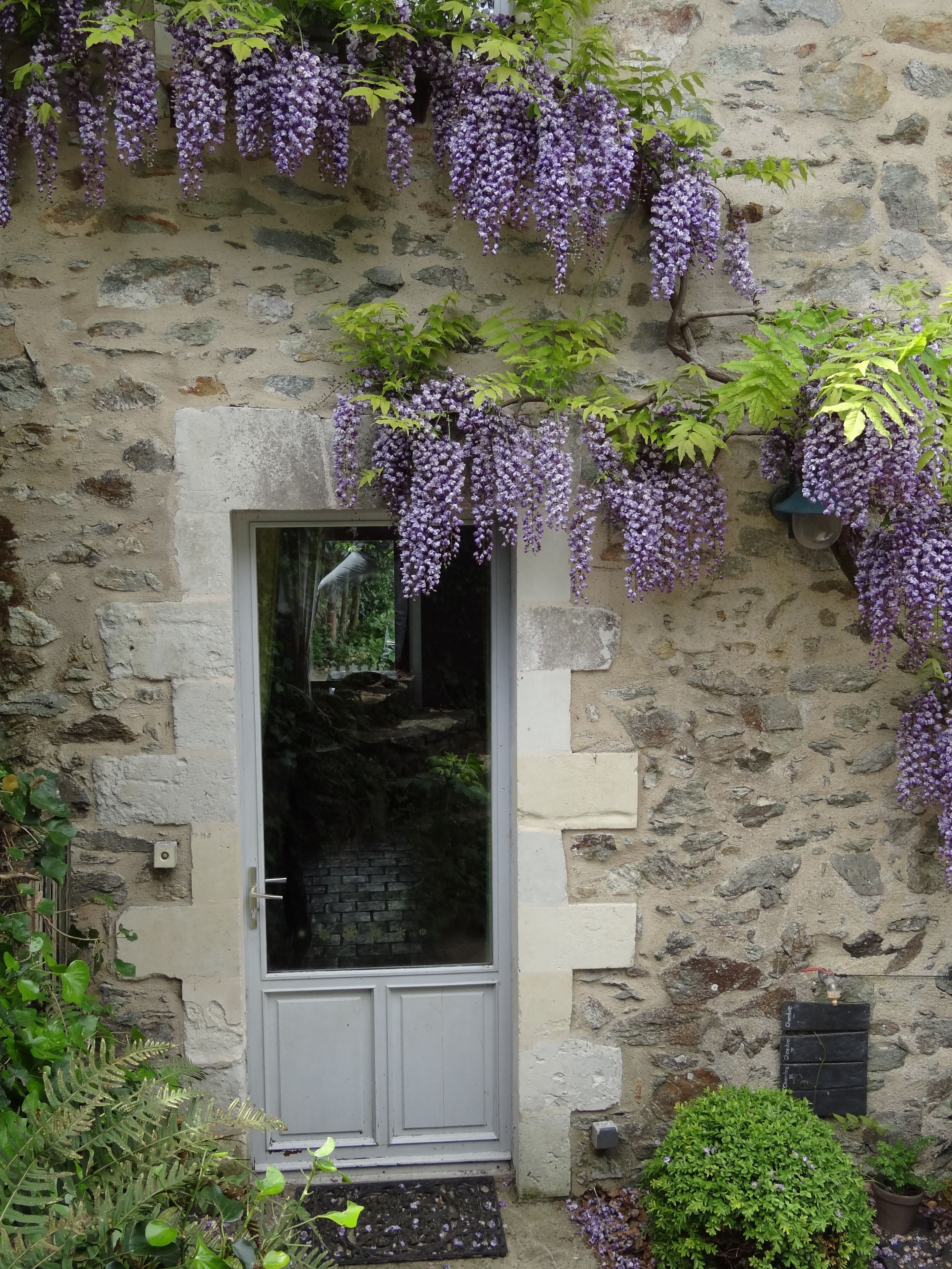 واجهة المنشأة