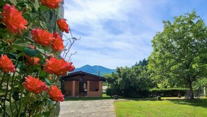 A building with a stone pathway leading to a door, surrounded by lush greenery and a clear sky. - Cottage, private pool, beautiful mountain views, WIFI. (nicciano)