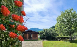 Property grounds - Cottage, private pool, beautiful mountain views, WIFI, walk to restaurant (nicciano)